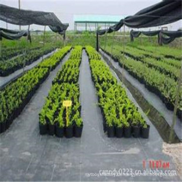 PP Garten Bodendecker Anti Weed Mat, China Günstige Landwirtschaft Weed Control Mat